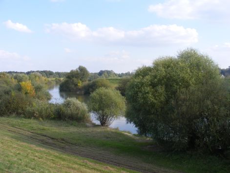 2010_nyar_eleje_325.jpg